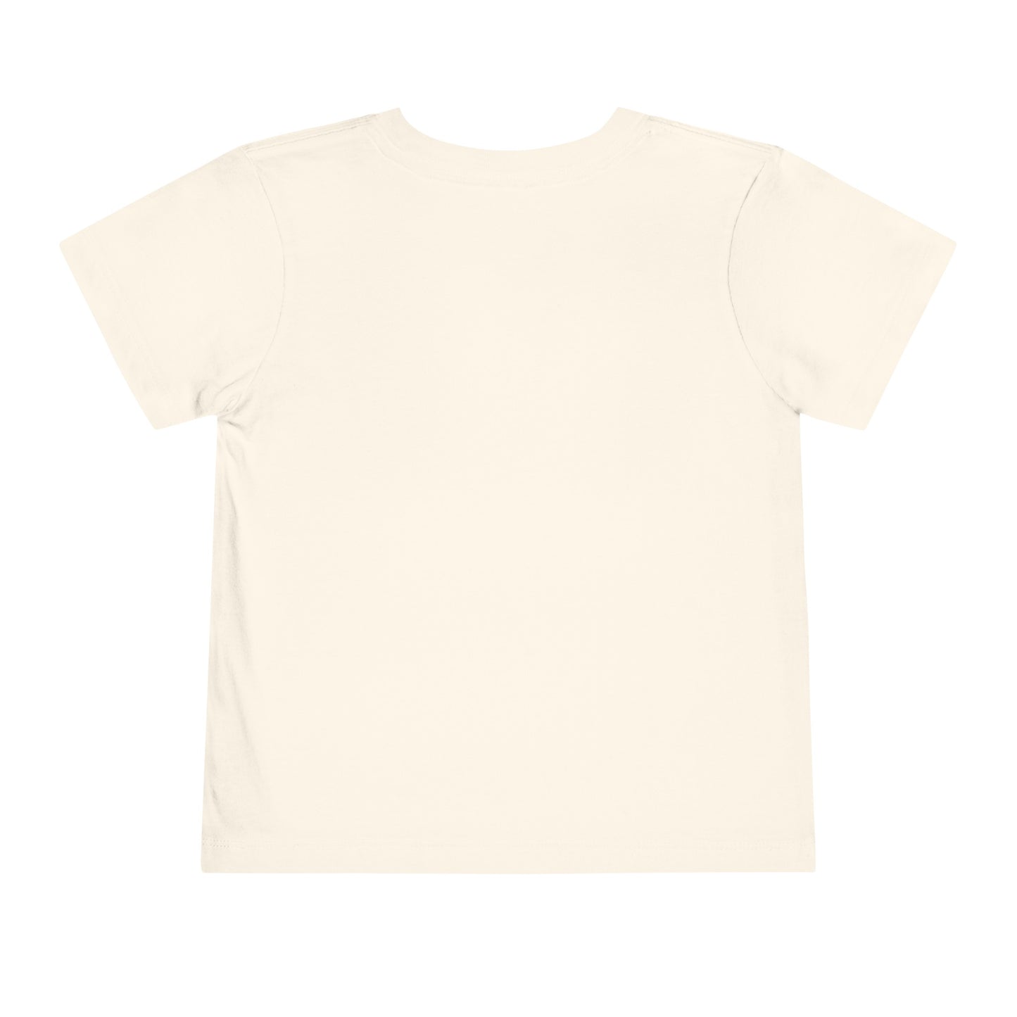 1st Birthday Toddler Short Sleeve Tee