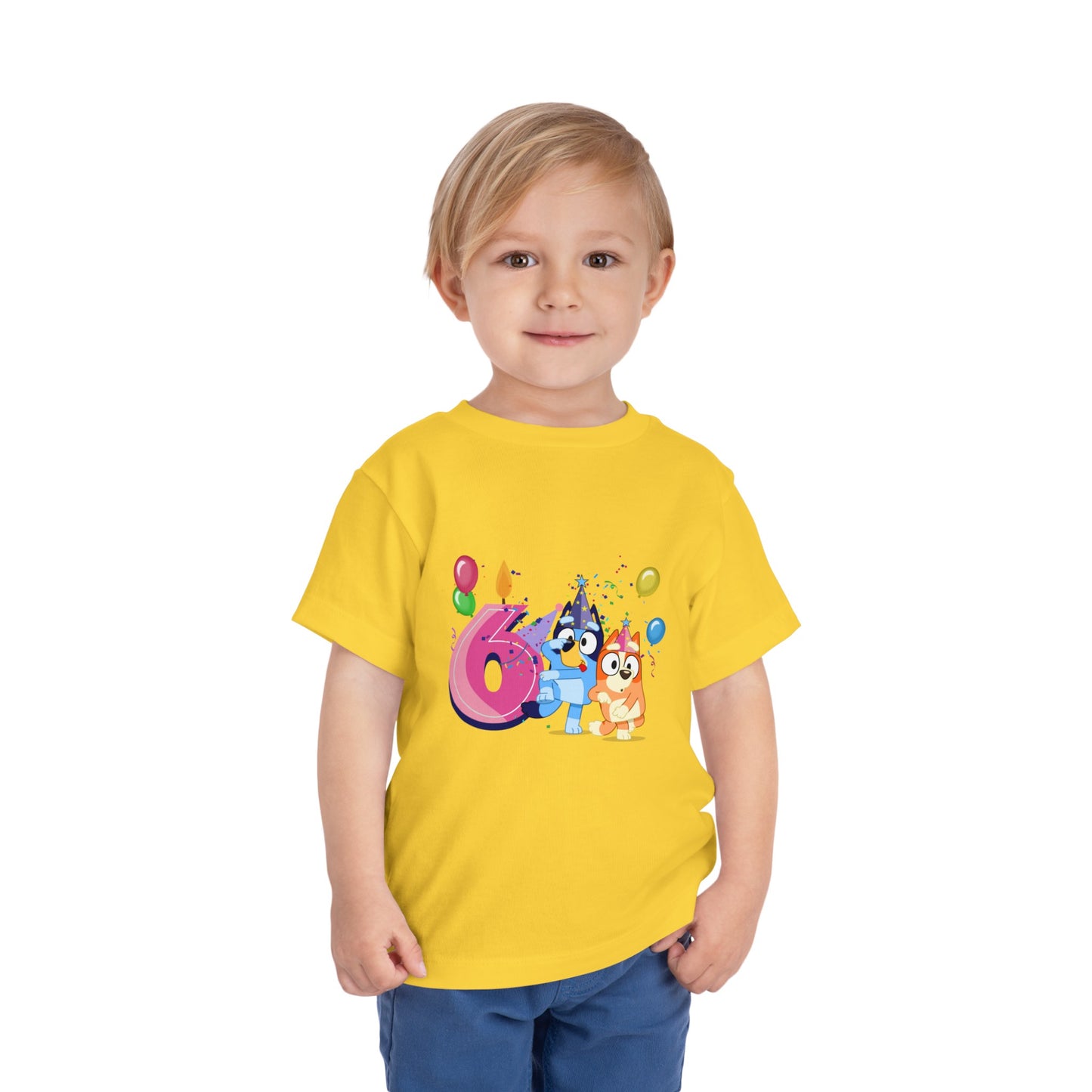 6th Birthday Toddler Short Sleeve Tee