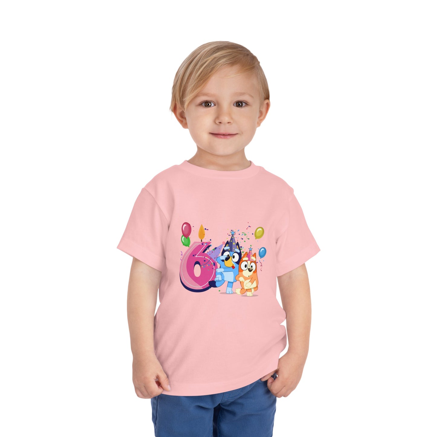 6th Birthday Toddler Short Sleeve Tee