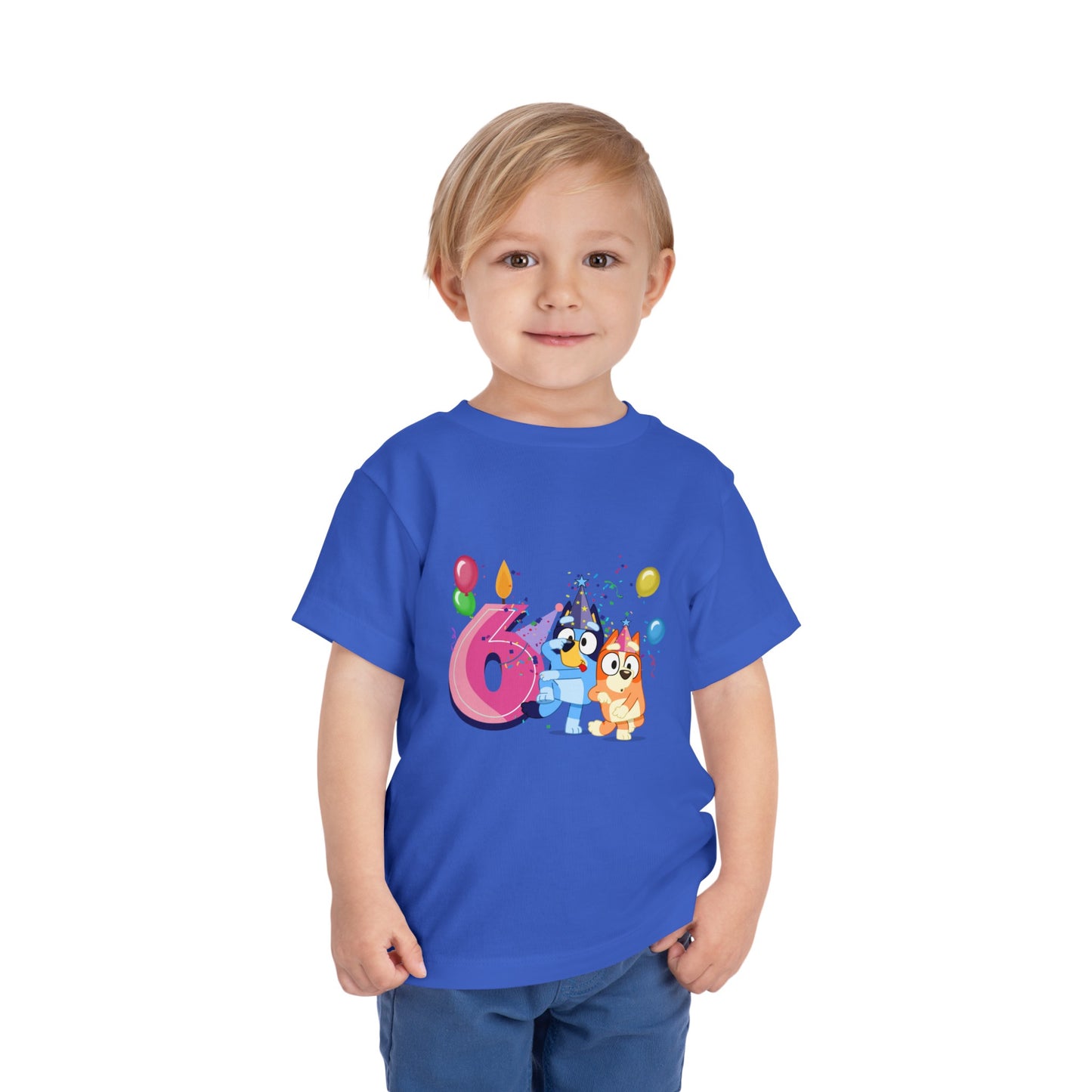 6th Birthday Toddler Short Sleeve Tee