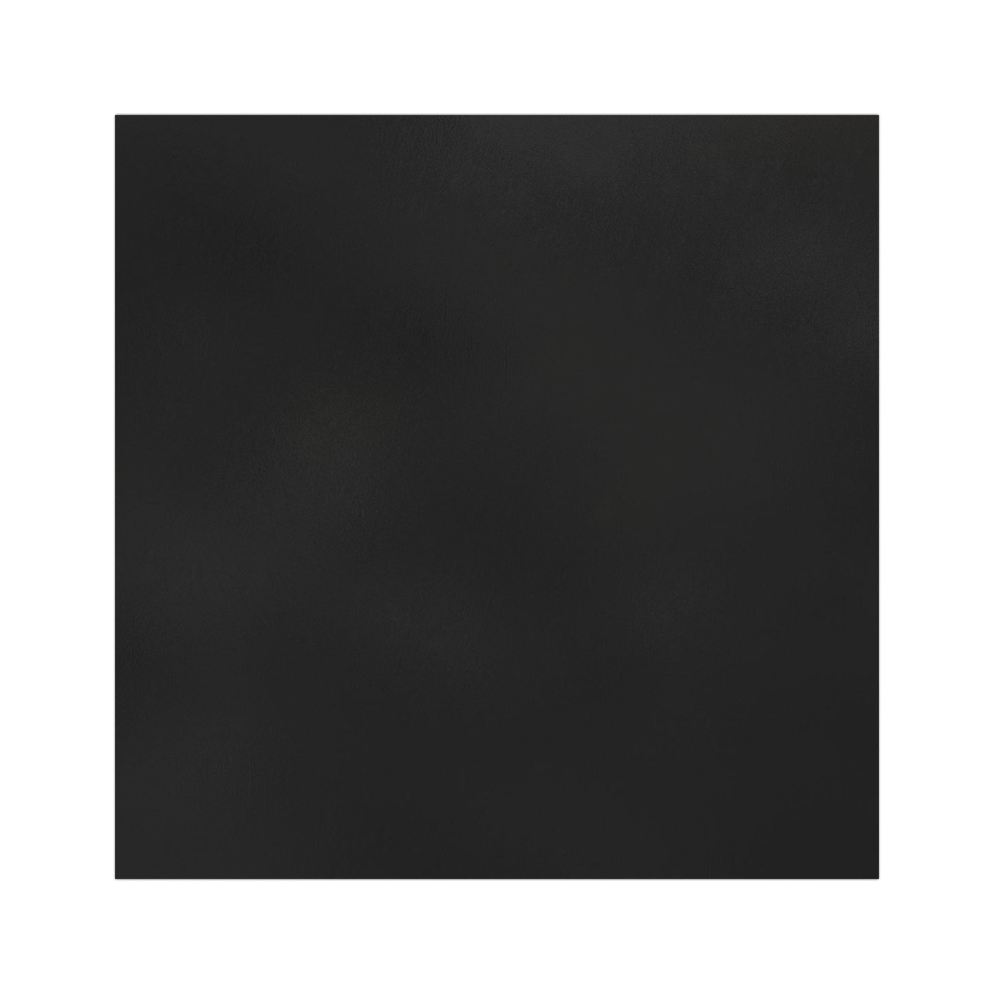 TRUMP/VANCE 2024 Car Magnets