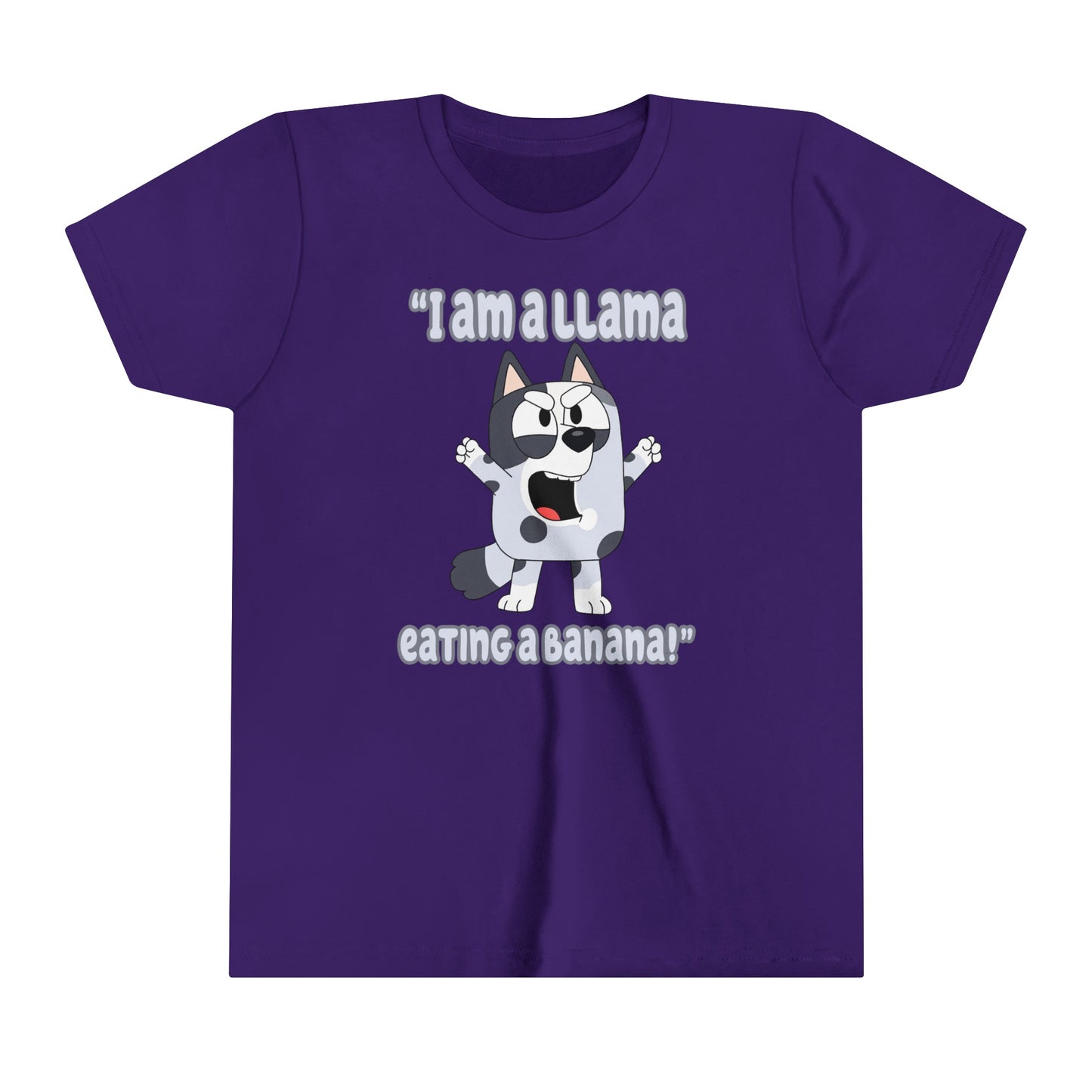 I am a llama eating a banana Youth Short Sleeve Tshirt