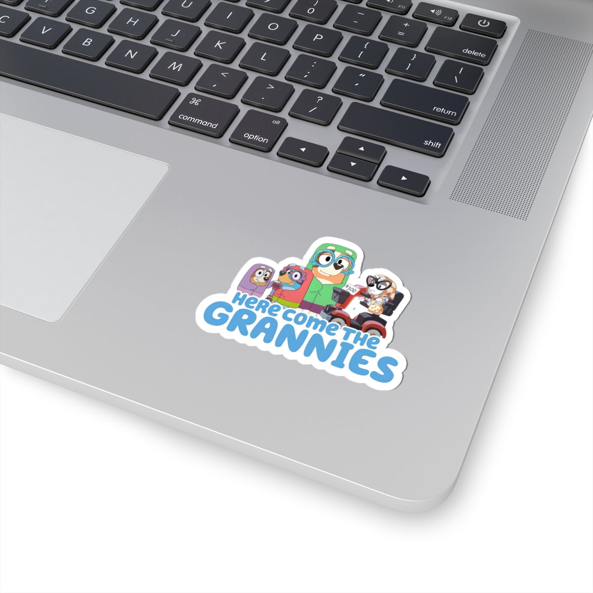 Here comes the grannies Stickers