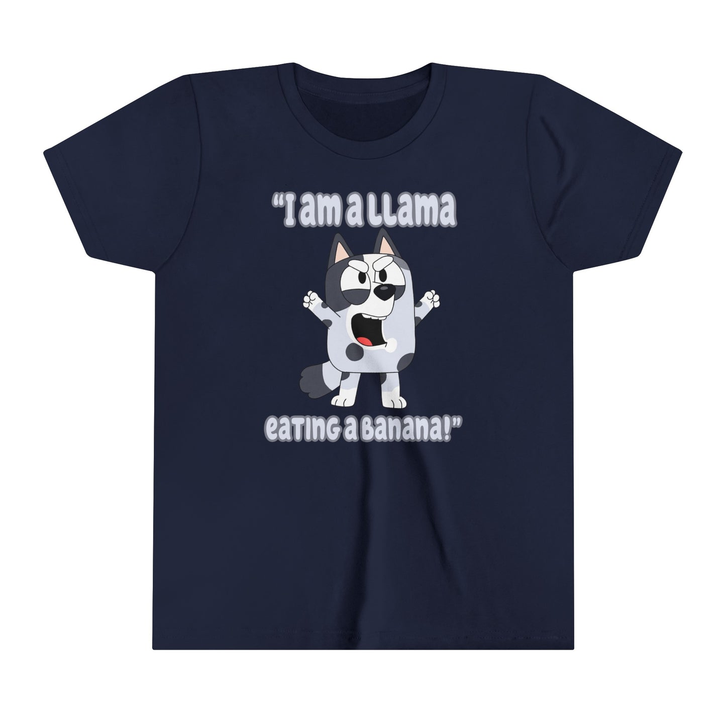I am a llama eating a banana Youth Short Sleeve Tshirt