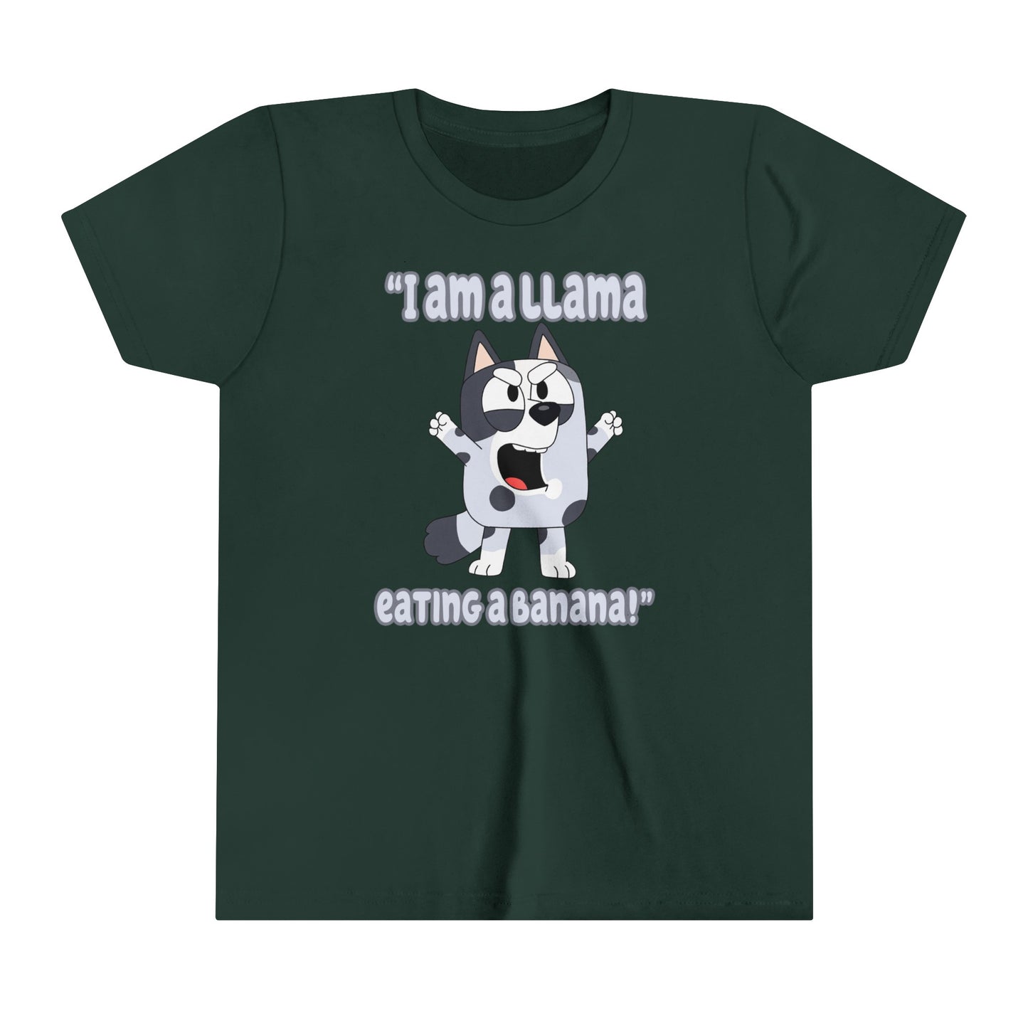 I am a llama eating a banana Youth Short Sleeve Tshirt