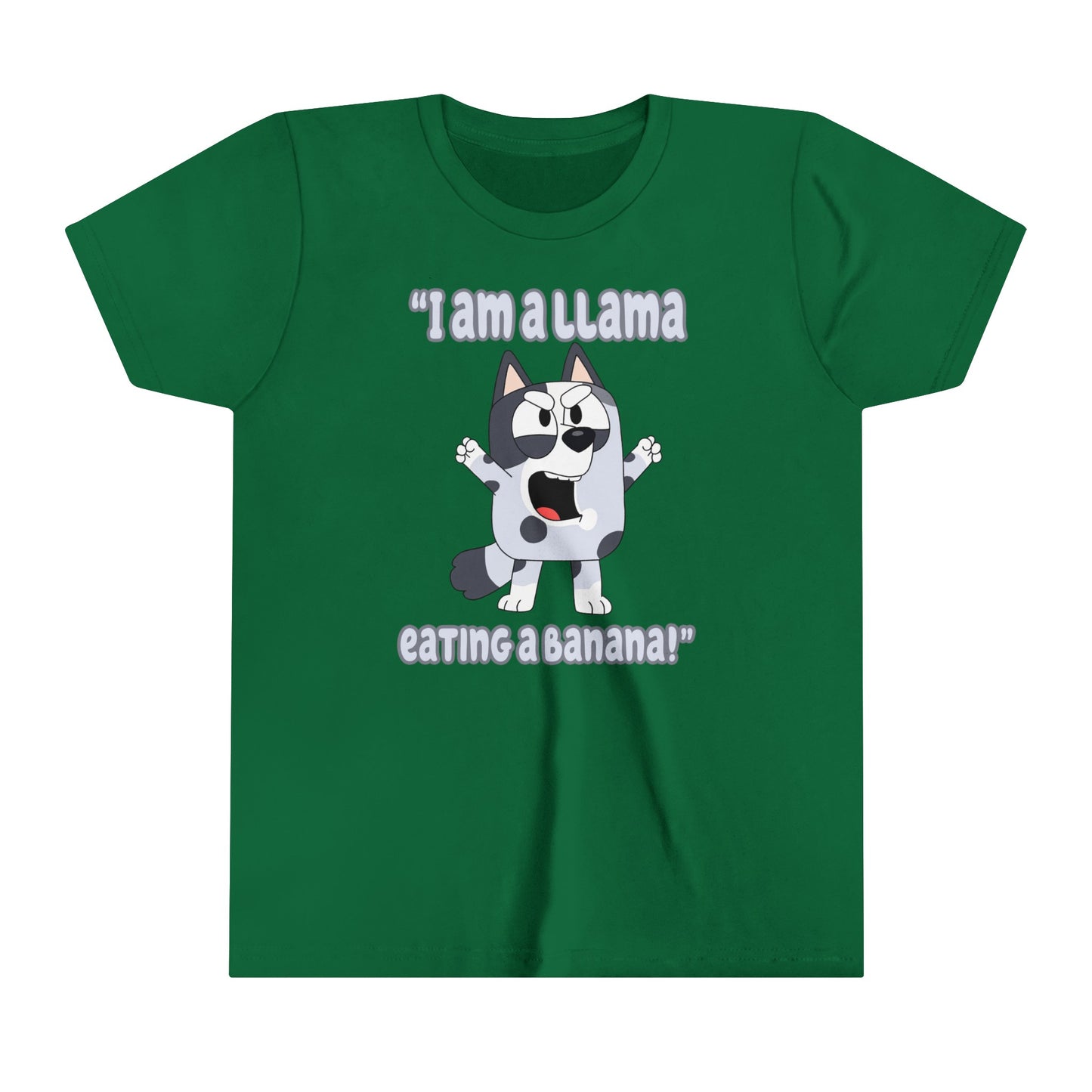 I am a llama eating a banana Youth Short Sleeve Tshirt