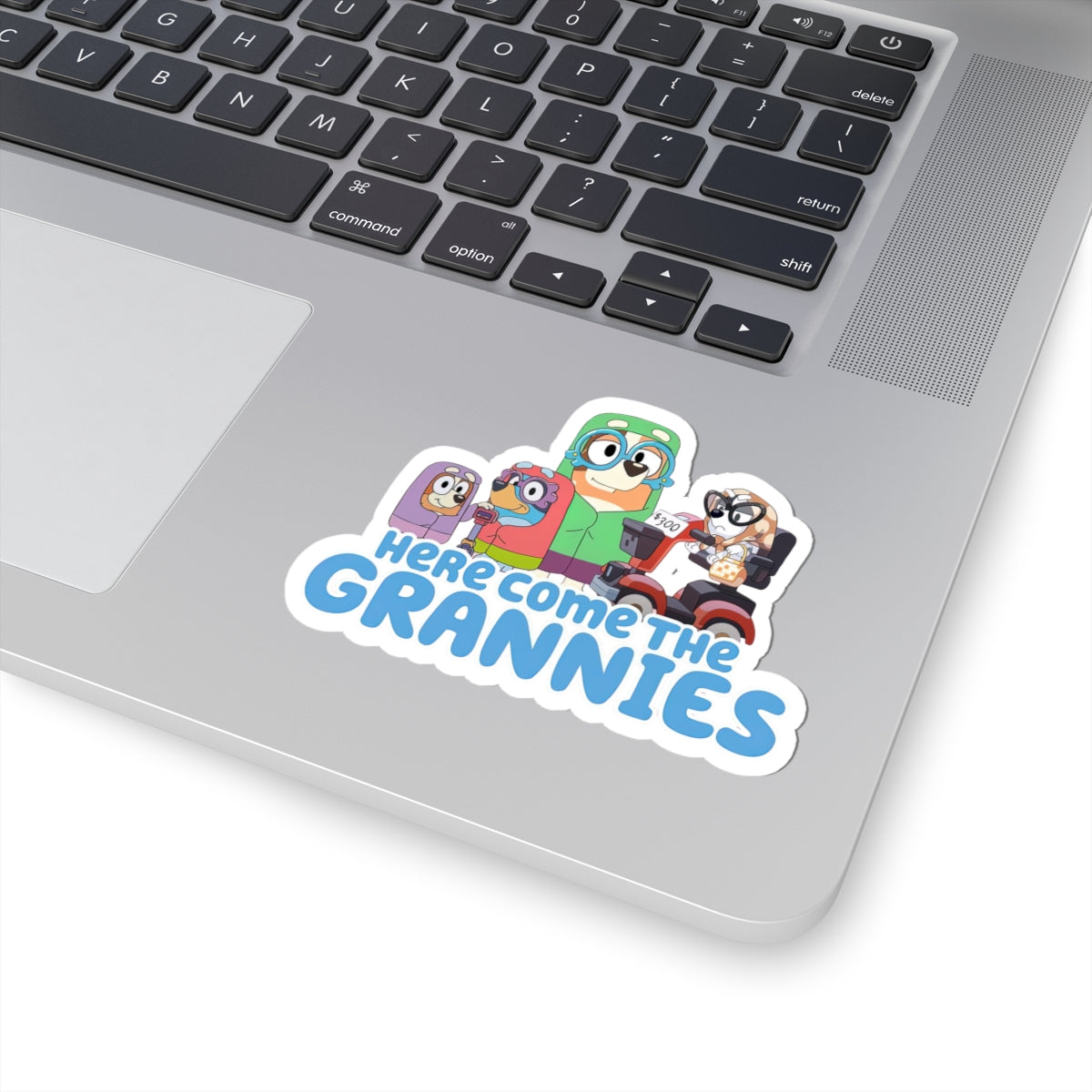 Here comes the grannies Stickers