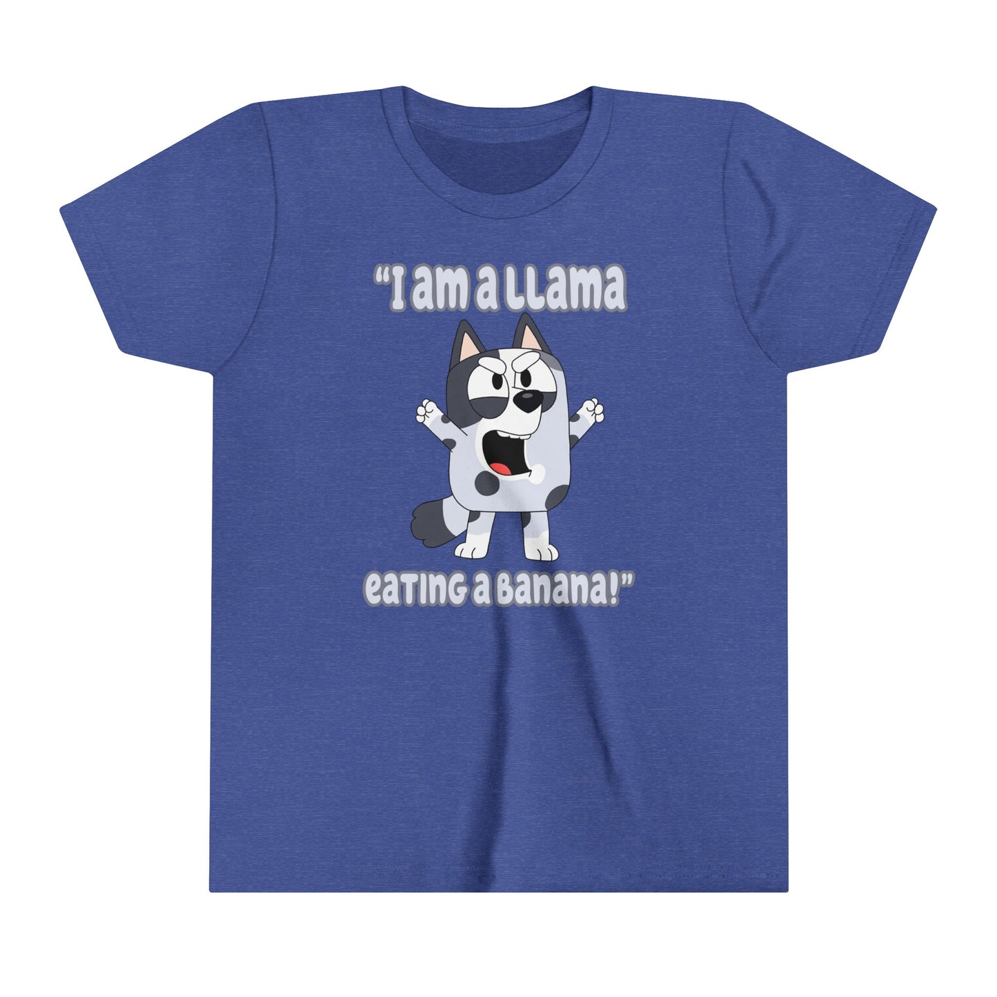 I am a llama eating a banana Youth Short Sleeve Tshirt