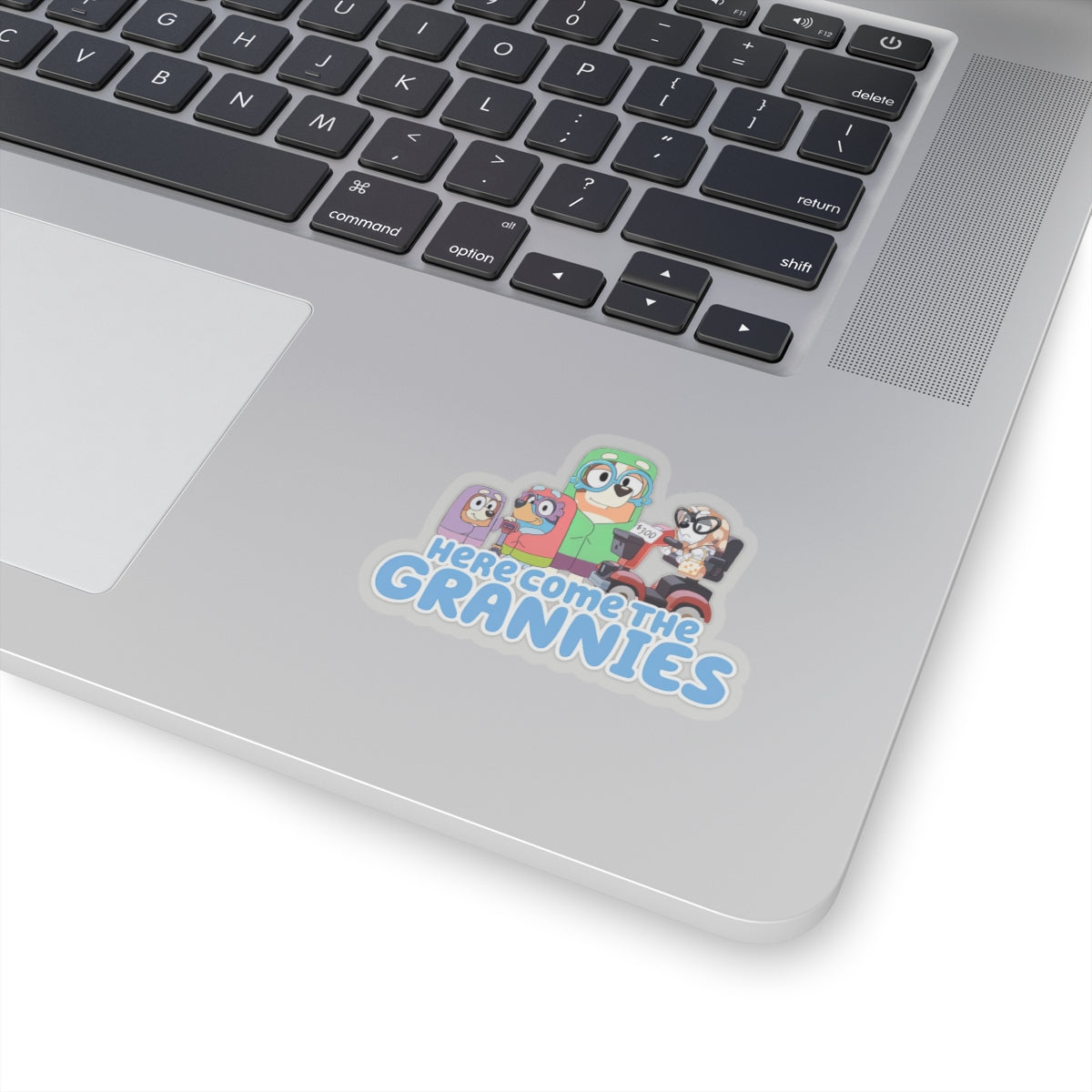 Here comes the grannies Stickers