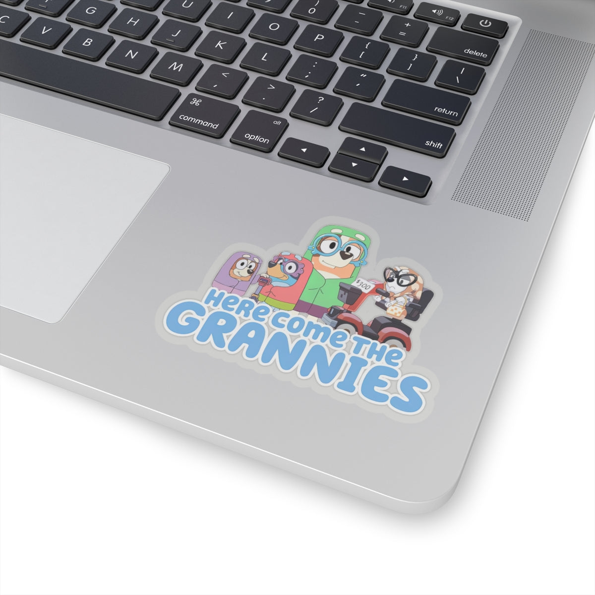 Here comes the grannies Stickers