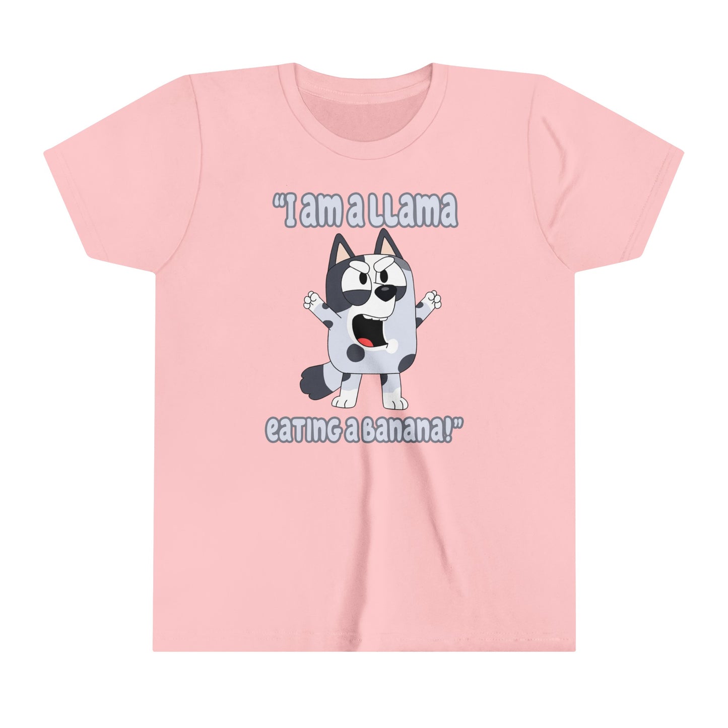 I am a llama eating a banana Youth Short Sleeve Tshirt
