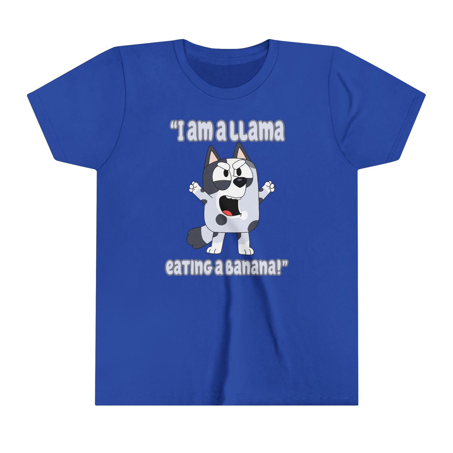 I am a llama eating a banana Youth Short Sleeve Tshirt