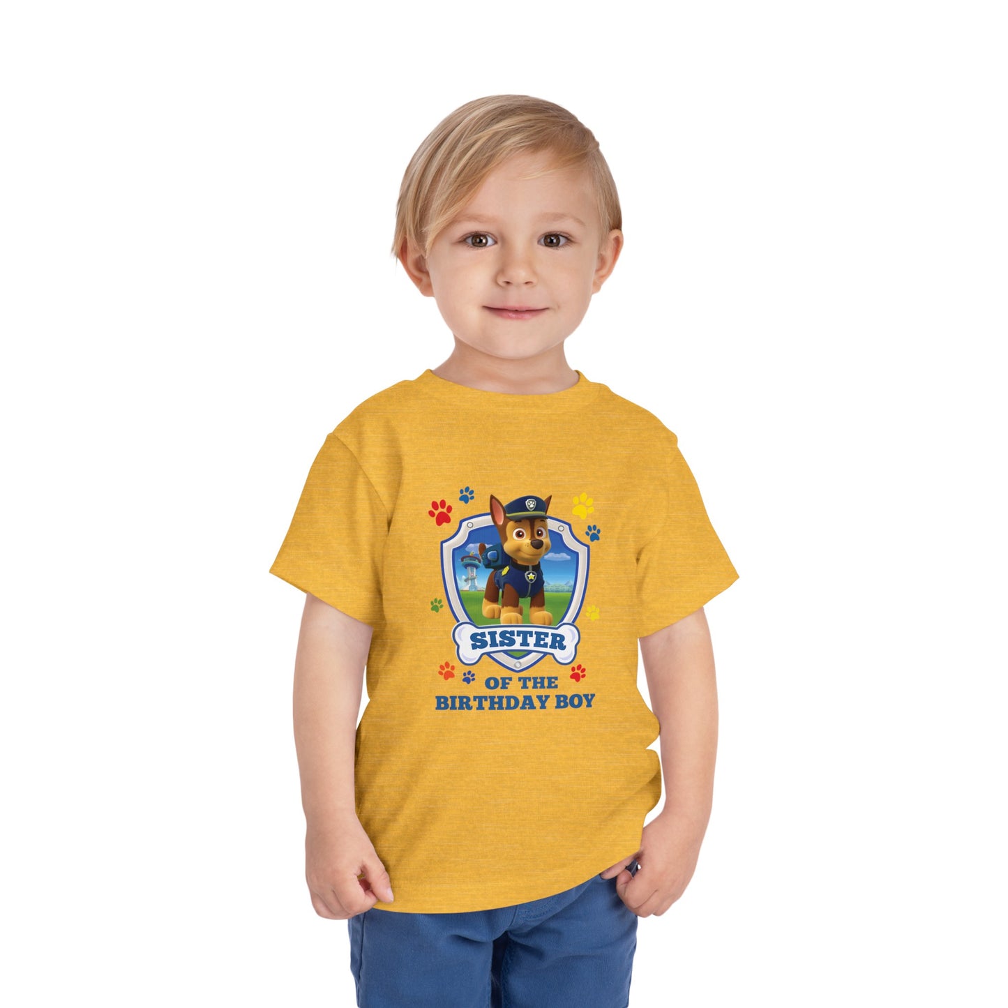 Sister of the Birthday Boy Toddler Short Sleeve Tee